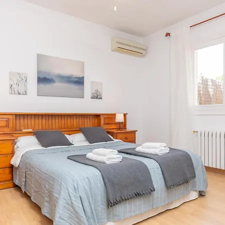 Miquel -tord- カン・ピカフォルト